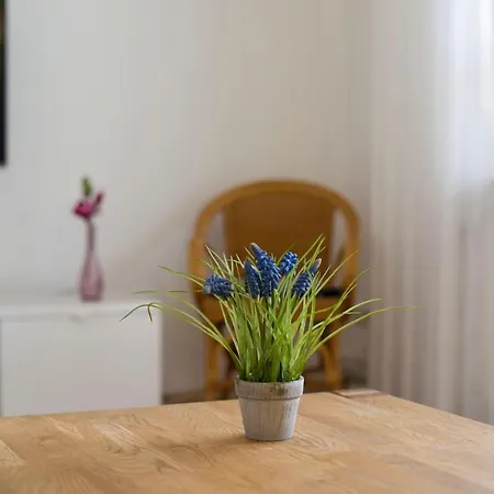 Ferienwohnung Jenina